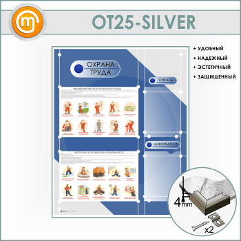 ����� ������� ����� � 2 �������� ��������� (OT-25-SILVER)
