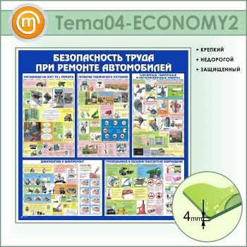 ����� ������������� ����� ��� ������� ����������� (TM-04-ECONOMY2)