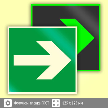 Знак E02-01 «Направляющая стрелка» (фотолюминесцентная пленка ГОСТ 34428-2018, 125х125 мм)