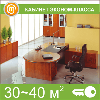 Кабинет эконом-класса (30-40 кв.м)