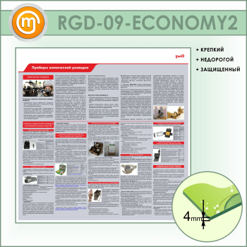 ����� �������� ���������� �������� (RGD-09-ECONOMY2)