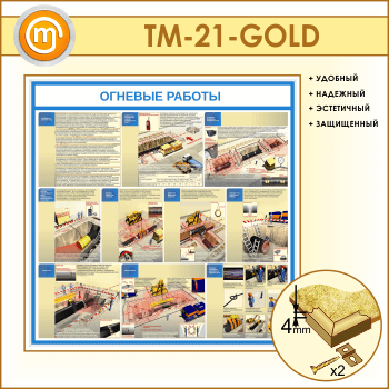 ����� �������� ������� (TM-21-GOLD)
