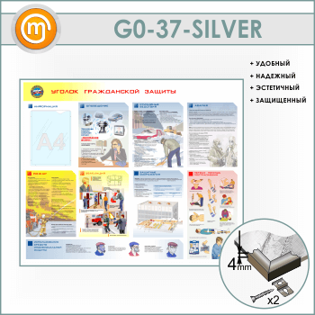 ����� ������� ����������� ������� � �������� (GO-37-SILVER)