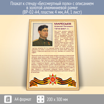 Плакат к стенду «Бессмертный полк» с описанием в золотой (матовой) алюминиевой рамке (BP-02-A4, пластик 4 мм, А4, 1 лист)