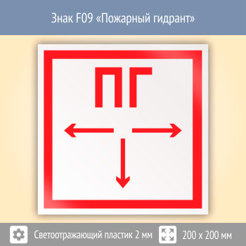 ���� F09 ��������� ������� (��������������� �������, 200�200 ��)