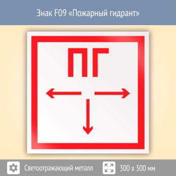 ���� F09 ��������� ������� (��������������� ������, 300�300 ��)