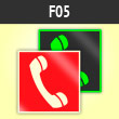 ���� F05 �������� ��� ������������� ��� ������ (� ��� ����� ������� ������ ����� � �������� �������)� (�������. ������ ����, 100�100 ��)
