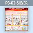 ����� ��������� ������������. ��������� �������� �������������� (PB-03-SILVER)